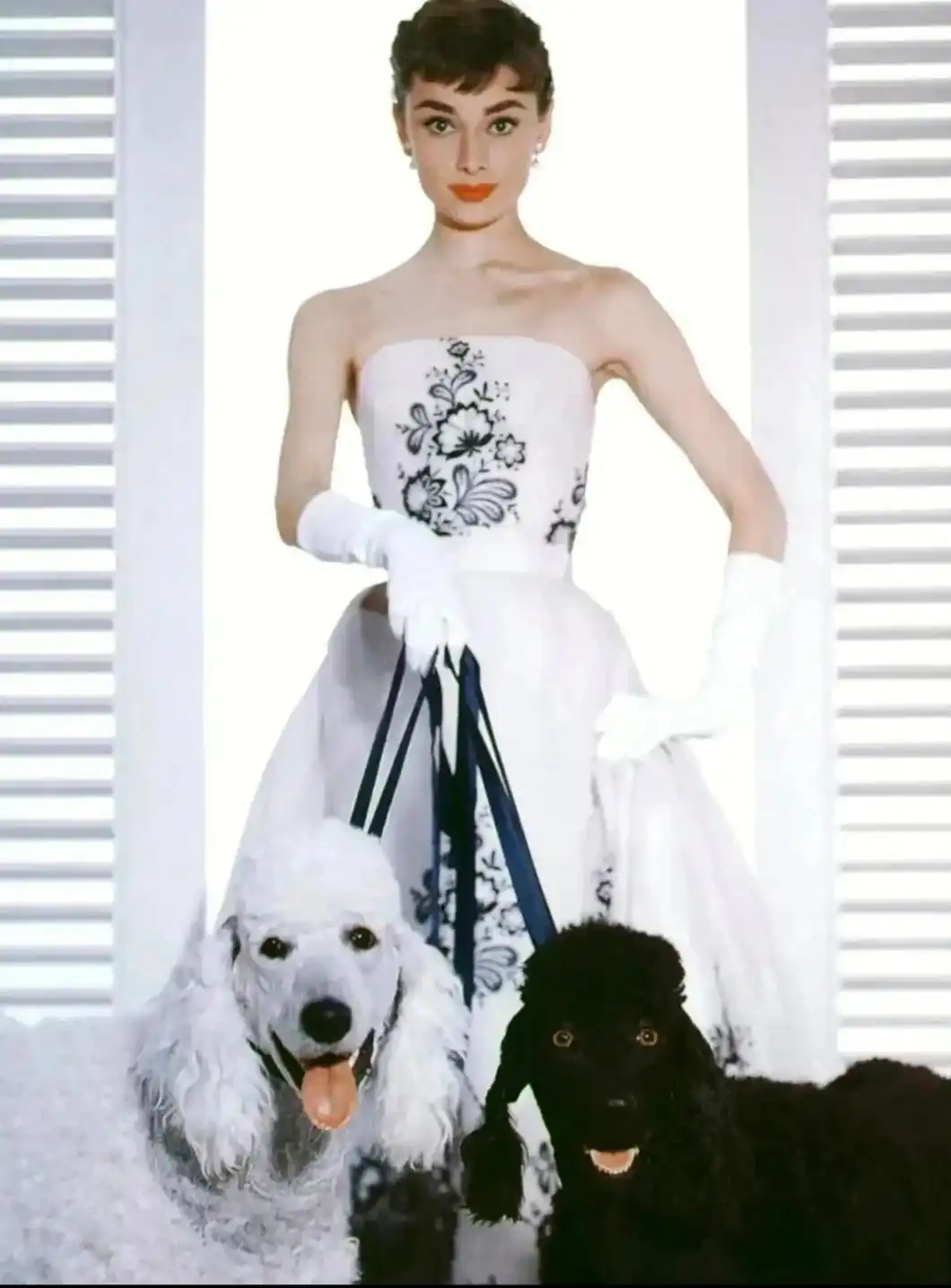 奥黛丽·赫本 传记_电影女明星 概览_玛丽莲·梦露 传记